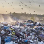 De groeiende plasticvervuiling is een van de grootste milieuproblemen in de wereld. Omdat recyclen van plastic ingewikkeld en duur is, gebeurt dat nog te weinig. De Nederlandse startup Upp! heeft een revolutionaire oplossing gevonden die binnenkort wordt toegepast in proeffabrieken in Nederland en Indonesië.