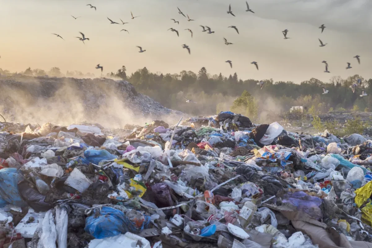 De groeiende plasticvervuiling is een van de grootste milieuproblemen in de wereld. Omdat recyclen van plastic ingewikkeld en duur is, gebeurt dat nog te weinig. De Nederlandse startup Upp! heeft een revolutionaire oplossing gevonden die binnenkort wordt toegepast in proeffabrieken in Nederland en Indonesië.